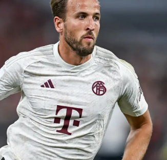 本文将带您 本文将带您